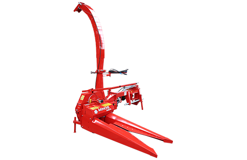 633110 principal 3.png