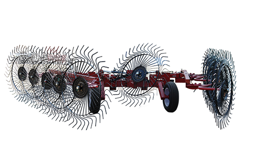 620520 principal.png