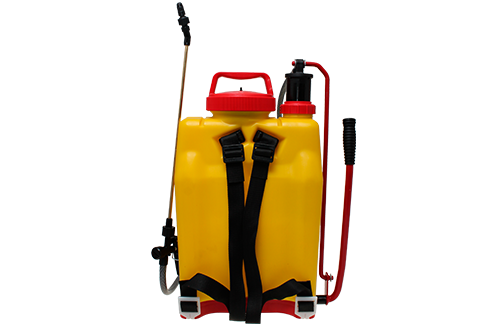 082010-principal-trasera.png