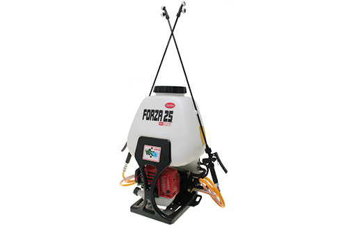 818015-principal3.png