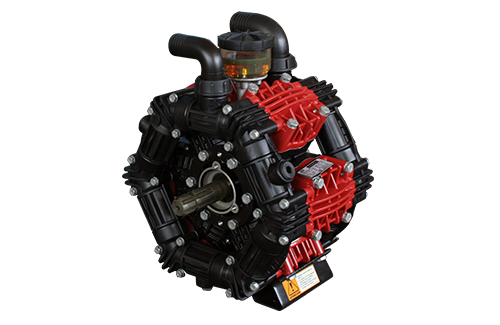 234050 principal.png